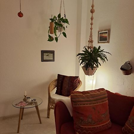 African Dream Oldenburg Zewnętrze zdjęcie